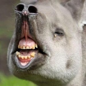 Meet your Posher, Seth